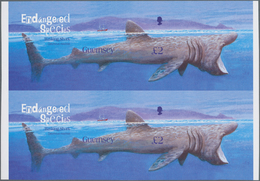 Thematik: Tiere-Fische / Animals-fishes: 2005, GUERNSEY: Endangered Species £2 'Basking Shark (Cetor - Vissen