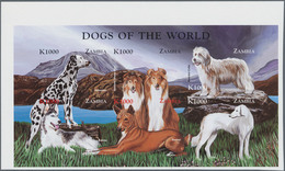 Thematik: Tiere-Hunde / Animals-dogs: 1999, ZAMBIA: Dogs Set In Two Perforate And IMPERFORATE Sheetl - Honden