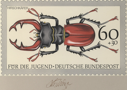 Thematik: Tiere-Insekten / Animals-insects: 1993, Bund, Nicht Angenommener Künstlerentwurf (26x16) V - Sonstige & Ohne Zuordnung