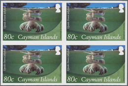 Thematik: Tiere-Meerestiere / Animals-sea Animals: 2012, Cayman Islands. Imperforate Block Of 4 For - Vita Acquatica