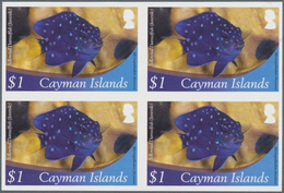 Thematik: Tiere-Meerestiere / Animals-sea Animals: 2012, Cayman Islands. Imperforate Block Of 4 For - Vita Acquatica