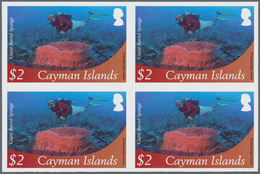 Thematik: Tiere-Meerestiere / Animals-sea Animals: 2012, Cayman Islands. Imperforate Block Of 4 For - Mundo Aquatico