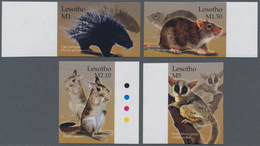 Thematik: Tiere-Säugetiere / Animals-mammals: 2004, LESOTHO: Mammals Complete IMPERFORATE Set Of Fou - Andere & Zonder Classificatie