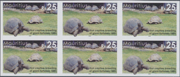 Thematik: Tiere-Schildkröten / Animals-turtles: 2006, MAURITIUS: Environment Day (Ecology) 25r. 'Fir - Turtles