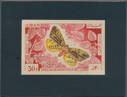 Thematik: Tiere-Schmetterlinge / Animals-butterflies: 1965, Libanon, Issue Butterflys, Artist Drawin - Farfalle