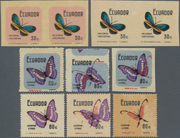 Thematik: Tiere-Schmetterlinge / Animals-butterflies: 1969, ECUADOR: Nice Group With Butterfly Stamp - Mariposas