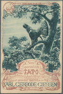 Thematik: Tiere-Vögel / Animals-birds: 1900, German Reich. Private Postcard 3p "Tapo Qualitätscigarr - Sonstige & Ohne Zuordnung