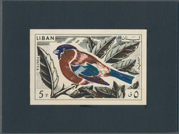 Thematik: Tiere-Vögel / Animals-birds: 1965, Libanon, Issue Birds, Artist Drawing (136x89) 5 Pia. Bu - Other & Unclassified