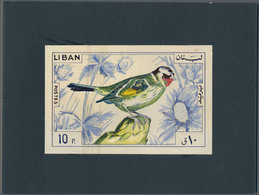 Thematik: Tiere-Vögel / Animals-birds: 1965, Libanon, Issue Birds, Artist Drawing (135x88) 10 Pia.go - Sonstige & Ohne Zuordnung