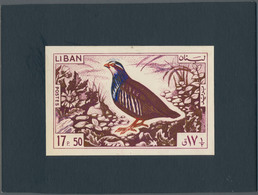 Thematik: Tiere-Vögel / Animals-birds: 1965, Libanon, Issue Birds, Artist Drawing (136x89) 17,50 Pia - Sonstige & Ohne Zuordnung