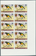 Thematik: Tiere-Vögel / Animals-birds: 1983, Sierra Leone, Definitive Birds, 2c., 15c. And 20c., Eac - Other & Unclassified