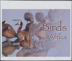 Thematik: Tiere-Vögel / Animals-birds: 2004, BURUNDI: African Birds Complete Set Of Six In An IMPERF - Sonstige & Ohne Zuordnung