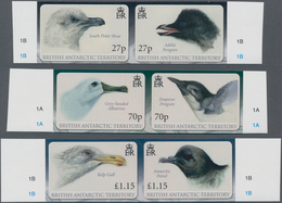 Thematik: Tiere-Vögel / Animals-birds: 2010, BRITISH ANTARCTIC TERRITORY: Antarctic Birds (South Pol - Other & Unclassified