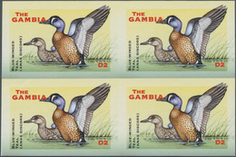 Thematik: Tiere-Wasservögel / Animals-water Birds: 2001, The Gambia. IMPERFORATE Block Of 4 For The - Sonstige & Ohne Zuordnung