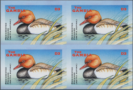 Thematik: Tiere-Wasservögel / Animals-water Birds: 2001, The Gambia. IMPERFORATE Block Of 4 For The - Altri & Non Classificati