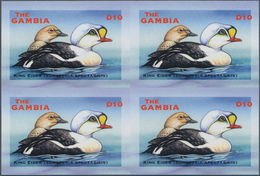 Thematik: Tiere-Wasservögel / Animals-water Birds: 2001, The Gambia. IMPERFORATE Block Of 4 For The - Other & Unclassified