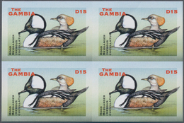 Thematik: Tiere-Wasservögel / Animals-water Birds: 2001, The Gambia. IMPERFORATE Block Of 4 For The - Autres & Non Classés