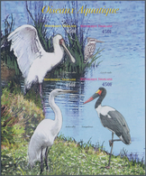 Thematik: Tiere-Wasservögel / Animals-water Birds: 2006, Togo. IMPERFORATE Miniature Sheet For The I - Other & Unclassified