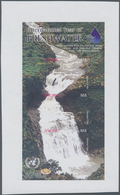 Thematik: Wasserfälle / Waterfalls: 2004, LESOTHO: International Year Of Freshwater Complete Set Of - Ohne Zuordnung