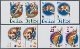 Thematik: WWF: 2004, BELIZE: WWF 'Central American Woolly Opossum' (Caluromys Derbianus) Complete Se - Autres & Non Classés