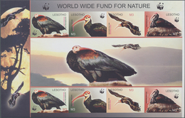 Thematik: WWF: 2004, LESOTHO: WWF 'Southern Bald Ibis' (Geronticus Calvus) Complete Set Of Eight In - Otros & Sin Clasificación