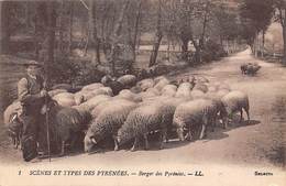 Non Localisé          65        Berger Des Pyrénées Et Son Troupeau     (voir Scan) - Autres & Non Classés