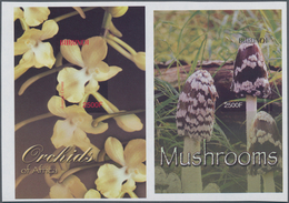 Burundi: 2004, Two Miniature Sheets Orchids 2.500fr. 'Aerangis Citrata' And Mushrooms 2.500fr. 'Copr - Usados