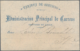 Chile - Ganzsachen: 1889, Rare Official Card "Tarjeta De Servicio" Locally Used In "SANTIAGO 20.11.9 - Cile