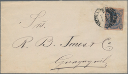 Ecuador - Ganzsachen: 1893, Cover Franked By Postal Stationery Cut-out Of A Postal Stationery Envelo - Equateur