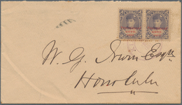 Hawaii: 1893 (28.7.), Queen Liliuokalani 2c. Dull Violet With Opt. 'Provisional GOVT. 1893' Horiz. P - Hawaï