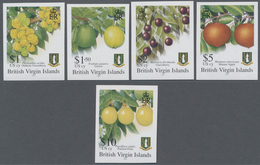 Jungferninseln / Virgin Islands: 2004/2007, Definitive Issue 'fruits' 13 Different IMPERFORATE Stamp - Britse Maagdeneilanden