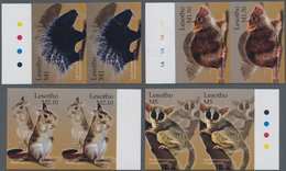 Lesotho: 2004, Mammals Complete Set Of Four (Cape Porcupine, Brown Rat, Springhare And South African - Lesotho (1966-...)