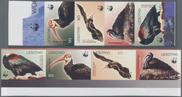 Lesotho: 2004, WWF 'Southern Bald Ibis' (Geronticus Calvus) Complete Set Of Eight In Two IMPERFORATE - Lesotho (1966-...)