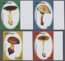 Lesotho: 2007, Mushrooms Complete IMPERFORATE Set Of Four From Right Margins, Mint Never Hinged And - Lesotho (1966-...)