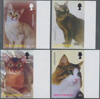 Montserrat: 2004, Cats Complete IMPERFORATE Set Of Four (Singapura, Burmese, Abyssinian And Norwegia - Autres & Non Classés
