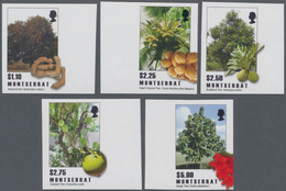 Montserrat: 2009, Trees And Their Fruits Complete IMPERFORATE Set Of Five (Tamarind Tree, Dwarf Coco - Otros & Sin Clasificación