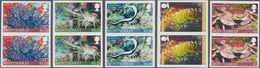 Montserrat: 2010, Sea Animals Complete IMPERFORATE Set Of Five (Basket Star, Spiny Lobster, Sea Anem - Other & Unclassified