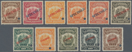 El Salvador: 1918/1933, 29 Different Revenue Stamps 'TIMBRE MUNICIPAL' With Many Different Year Over - Salvador