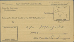 Vereinigte Staaten Von Amerika - Stempel: BIG BUG: 1890 (ca.), Stampless 'Registered Package Receipt - Postal History