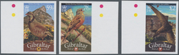 Gibraltar: 2010, Birds Complete IMPERFORATE Set Of Three (Alectoris Barbara, Emberiza Hortulana And - Gibilterra