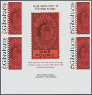 Gibraltar: 2011. Imperforate Block Of 2 Horizontal Gutter Pairs (4 Stamps) For The 42p Value Of The - Gibilterra