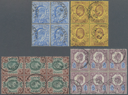 Großbritannien: 1904/1909, KEVII Definitives Four Different Multiples Incl. 2½d. Ultramarine Block/4 - Altri & Non Classificati