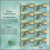 Großbritannien - Guernsey: 2001, 21 P. "Europe - Birds - Kingfisher" As Completely Imperforated Mini - Guernsey