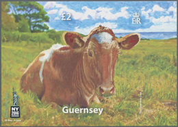 Großbritannien - Guernsey: 2016, Miniature Sheet "International Stamp Exhibition New York 2016 - Gue - Guernesey