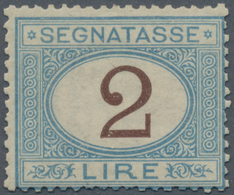 Italien - Portomarken: 1870, 2 L Blue/brown Postage Due Stamp Mint Never Hinged, The Stamp Is Normal - Segnatasse