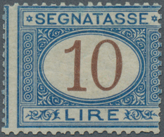 Italien - Portomarken: 1874, 10 L Brown/blue Postage Due Stamp Mint Never Hinged, The Stamp Is Norma - Strafport