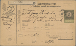 Österreich - Verwendung In Liechtenstein: 1881, Postbegleitadresse Dt.-ital.-Text (Mittelbug Und Ein - Other & Unclassified