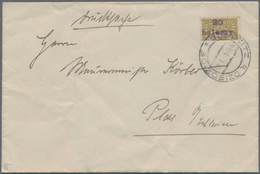 Polen - Lokalausgaben 1915/19: Dziedzitz, 1919, Austria 40 H. Vertical Bisect Surcharged "20/halerzy - Andere & Zonder Classificatie