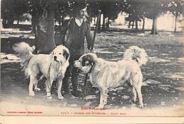 Non Localisé          65          Chiens Des Pyrénées. 2 Amis     (Décollée Voir Scan) - Sonstige & Ohne Zuordnung