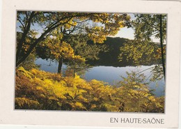 MILLES ETANGS  70 HAUTE SAONE   CPM  PHOT0  DE MARC PAYGNARD - Other & Unclassified